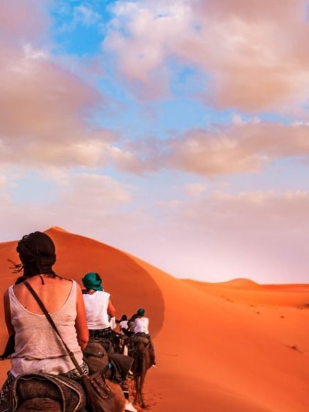 morocco desert 6